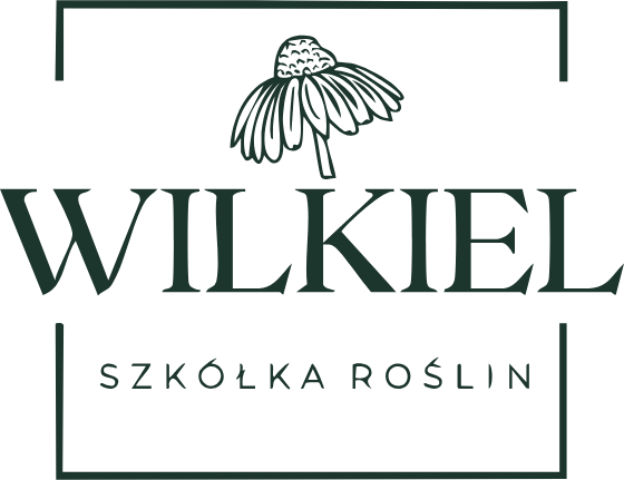 Wilkiel